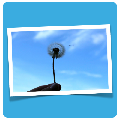 dandelion :: doschu