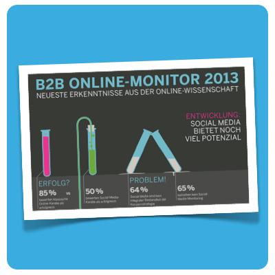 B2B Online Monitor 2013 :: illustration