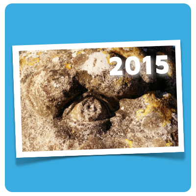 illustration 2015 planung
