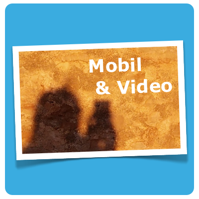 Mobile Video