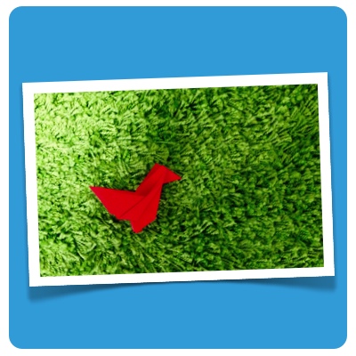 Blogbeitrag #zugvogel